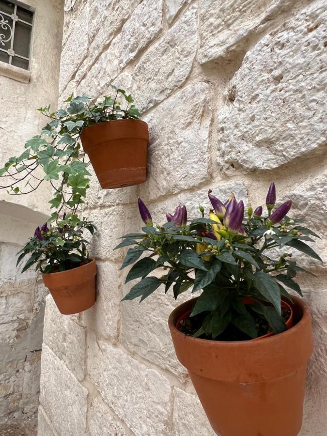 Dimora Martina Bed & Breakfast Loseto Exterior photo